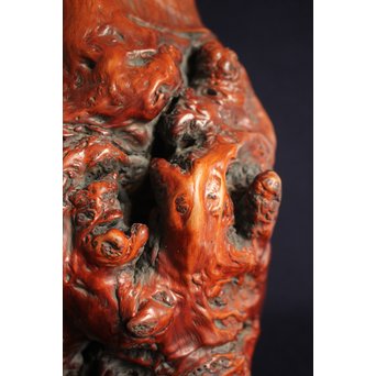 天然木瘤花器　X125 