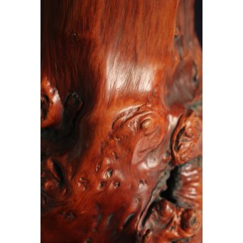 天然木瘤花器　X125 