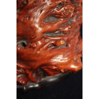 天然木瘤花器　X125 