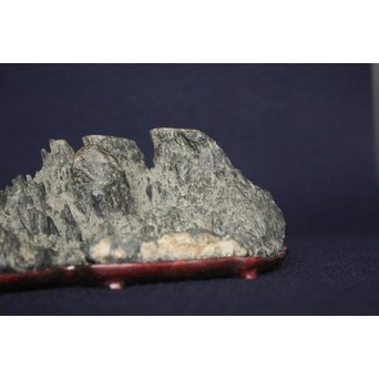 茶人一雨極箱 銘「峻」佐治川石 水石 盆石 鑑賞石 自然石　U084 