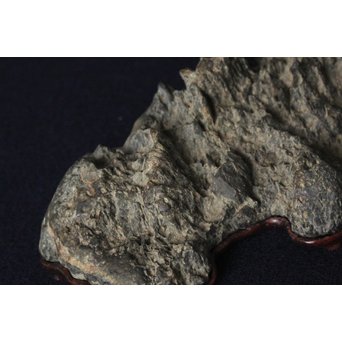 茶人一雨極箱 銘「峻」佐治川石 水石 盆石 鑑賞石 自然石　U084 