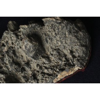 茶人一雨極箱 銘「峻」佐治川石 水石 盆石 鑑賞石 自然石　U084 