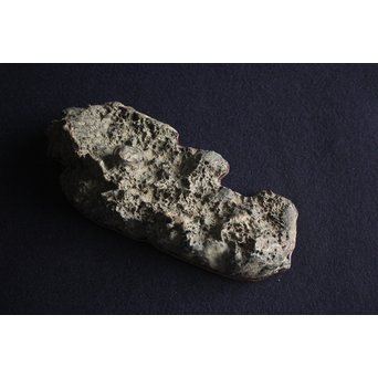 茶人一雨極箱 銘「峻」佐治川石 水石 盆石 鑑賞石 自然石　U084 