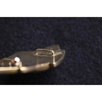 大須賀喬 銀彫金魚 帯留　M129 