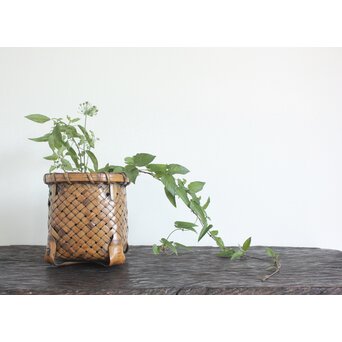 筍籠 花籠　U094 