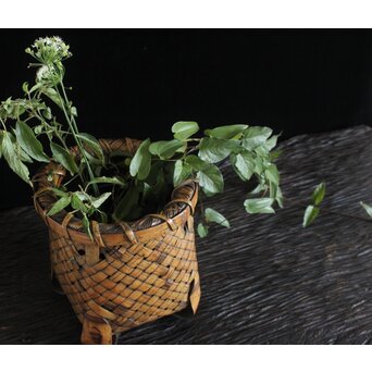 筍籠 花籠　U094 