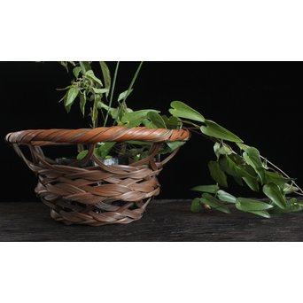 武関翠月 束編竹花籠　U095