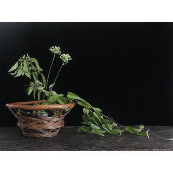 武関翠月 束編竹花籠　U095 