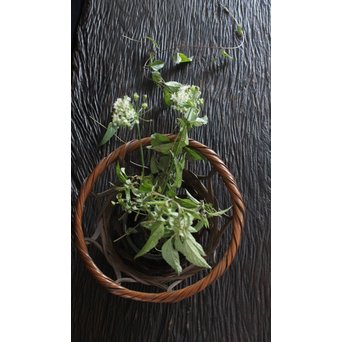 武関翠月 束編竹花籠　U095 