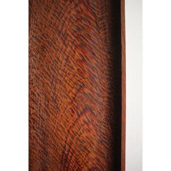 ヤニ松 老松 肥松 刳貫煎茶盆　X143 