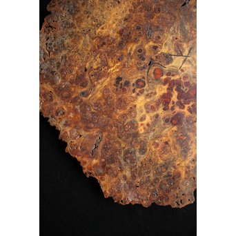 花梨 瘤玉杢 一枚板 花台/敷台　X144 