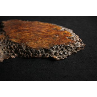 花梨 瘤玉杢 一枚板 花台/敷台　X144 