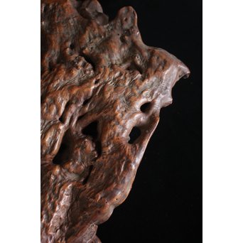 瘤台 根木煎茶台　X154 