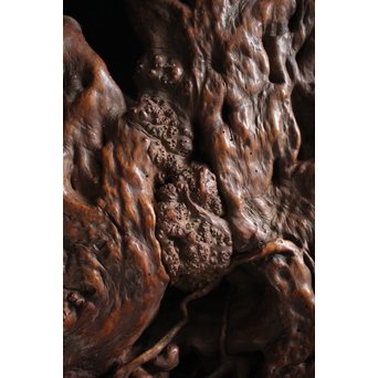 瘤台 根木煎茶台　X154 