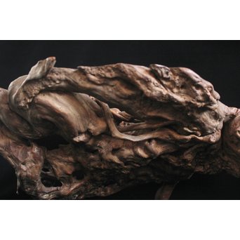 瘤台 根木煎茶台　X154 