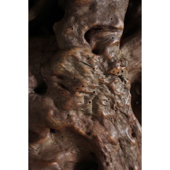 瘤台 根木煎茶台　X154 