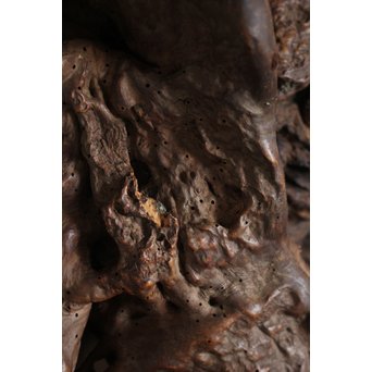 瘤台 根木煎茶台　X154 