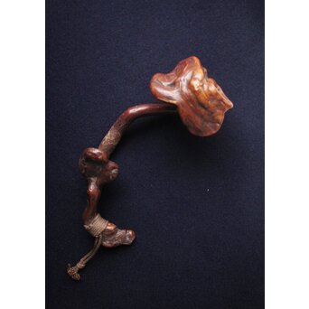 霊芝 木彫如意　X162