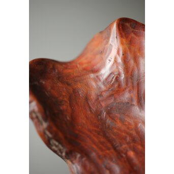 霊芝 木彫如意　X162 