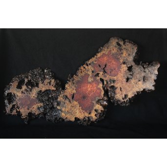 花梨 瘤玉杢 一枚板 花台/敷台　X163