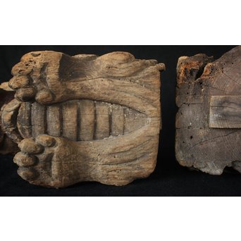 象の木鼻 2個1組　X164 