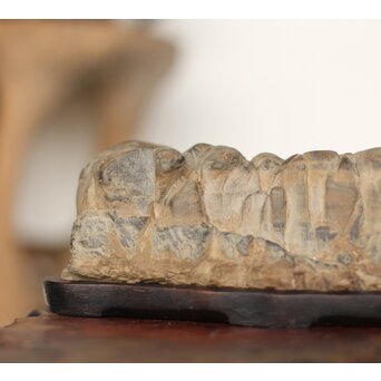 水石 観賞石　U125 