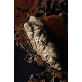 水石 観賞石　U125