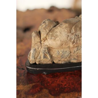 水石 観賞石　U125 