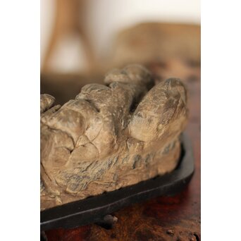 水石 観賞石　U125 