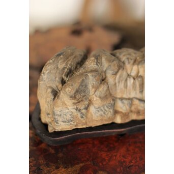 水石 観賞石　U125 