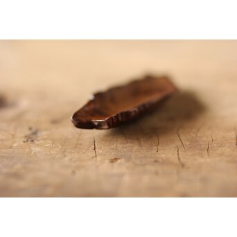 魚型 茶合/茶箕　X174 