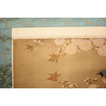 春木南江【桜花鳥】 絹本掛軸　Z190 