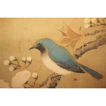 春木南江【桜花鳥】 絹本掛軸　Z190 