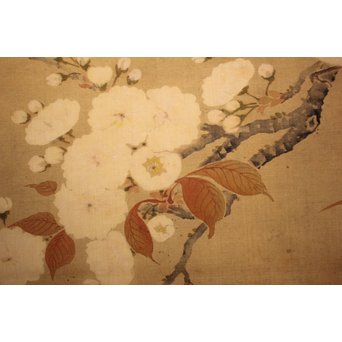 春木南江【桜花鳥】 絹本掛軸　Z190 