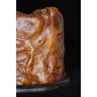 天然木 瘤火鉢　X177 