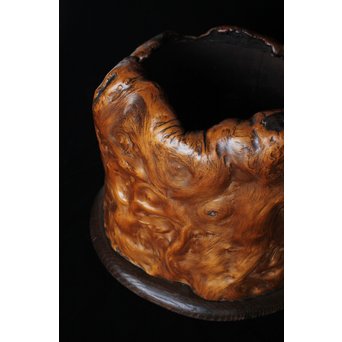 天然木 瘤火鉢　X177 