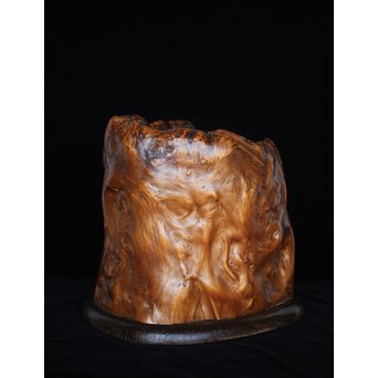 天然木 瘤火鉢　X177 