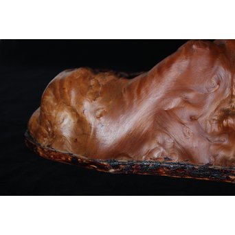 天然木 煎茶盆　X178 