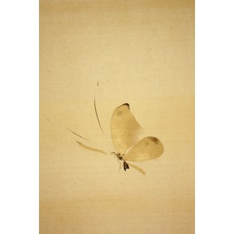 倣 山元春挙 水墨牡丹図 掛軸　Z193 