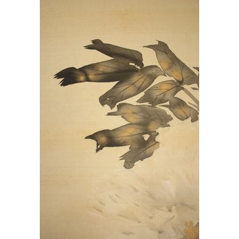 倣 山元春挙 水墨牡丹図 掛軸　Z193 