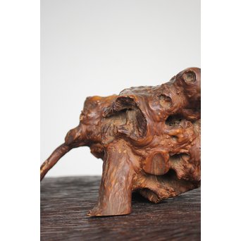 怪獣の変木　X184 