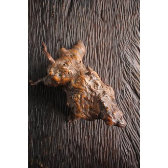 怪獣の変木　X184 