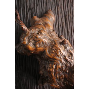 怪獣の変木　X184 