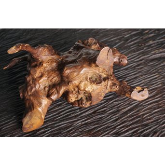 怪獣の変木　X184 