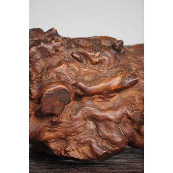 怪獣の変木　X184 