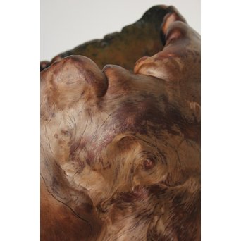 天然木 瘤木 火鉢 瓶掛　X186 