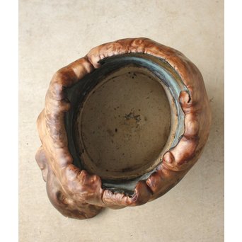 天然木 瘤木 火鉢 瓶掛　X186 