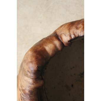 天然木 瘤木 火鉢 瓶掛　X186 