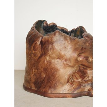 天然木 瘤木 火鉢 瓶掛　X186 