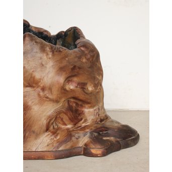 天然木 瘤木 火鉢 瓶掛　X186 